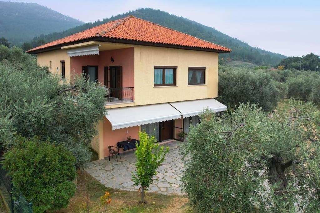 Olive'S House Villa Skala Rachoni  ภายนอก รูปภาพ